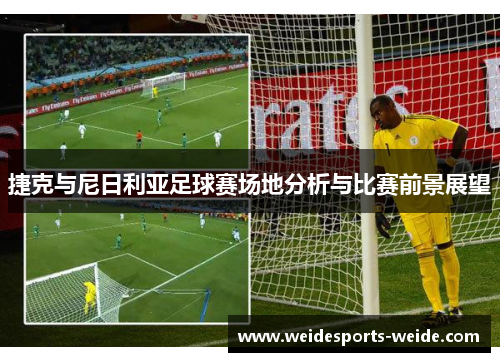 捷克与尼日利亚足球赛场地分析与比赛前景展望